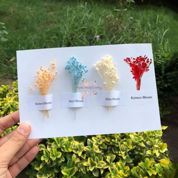 Fısfıslı Yuvarlak Cam Şişe Hediyelik Eyüp Sabri Tuncer Kolonya