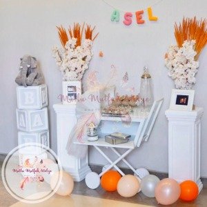 Hastane Odası Bebek Arabası